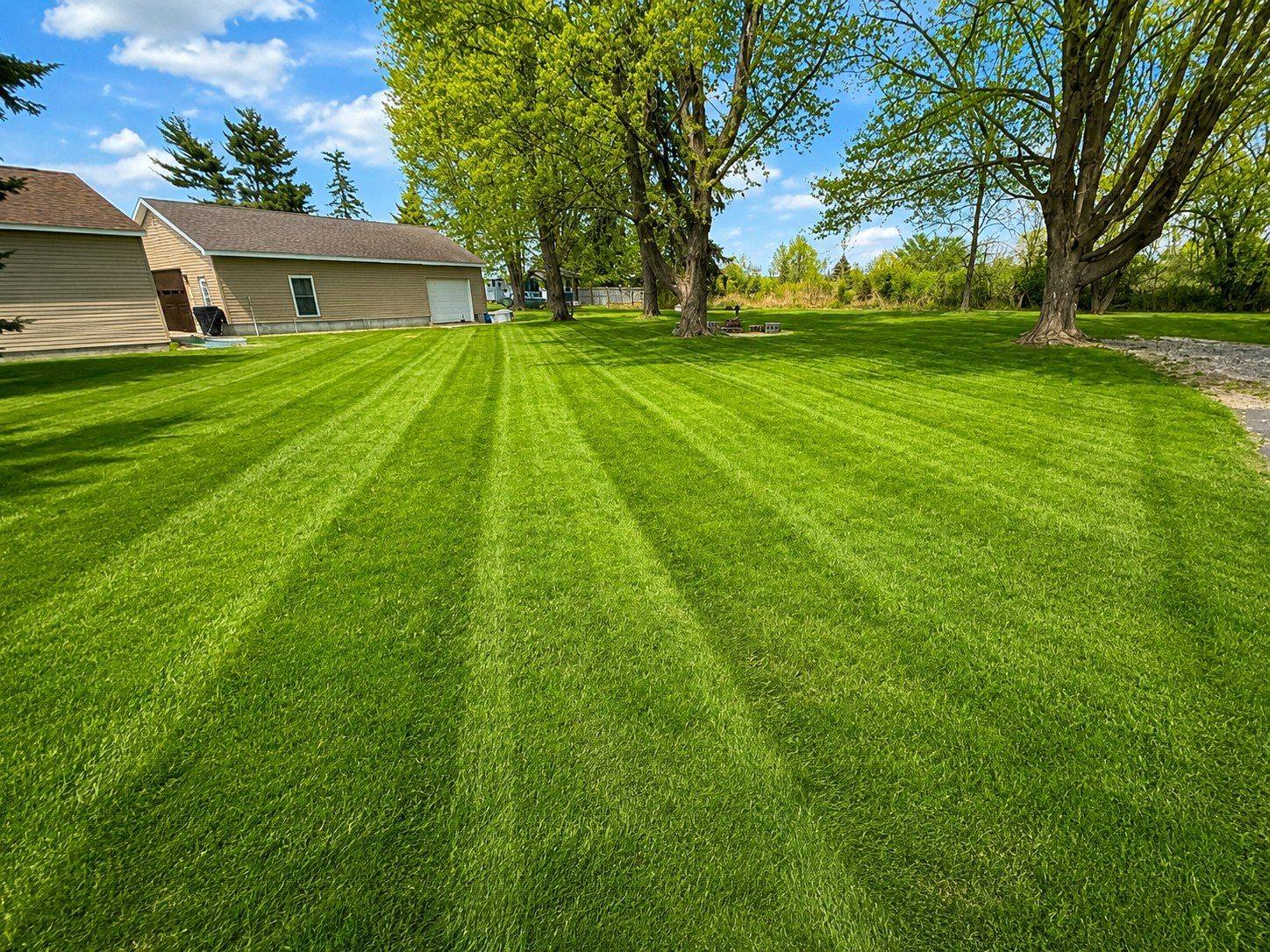 Precision-striped lawn mowing service - Happy Grass Co